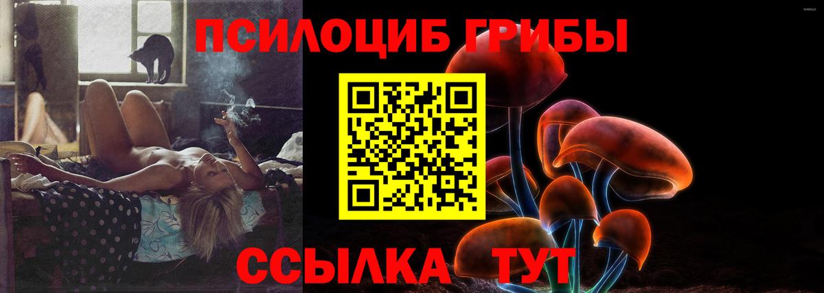 Псилоцибиновые грибы MAGIC MUSHROOMS  Галлюциногенные грибы Psilocybine cubensis  Ейск  Вход с VPN 